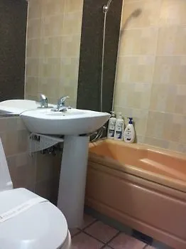 Ulsan Hotel 3*,
